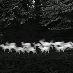 白丝小脚夹住命根
